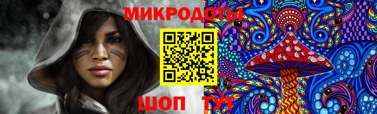 Псилоцибиновые грибы мицелий Екатеринбург