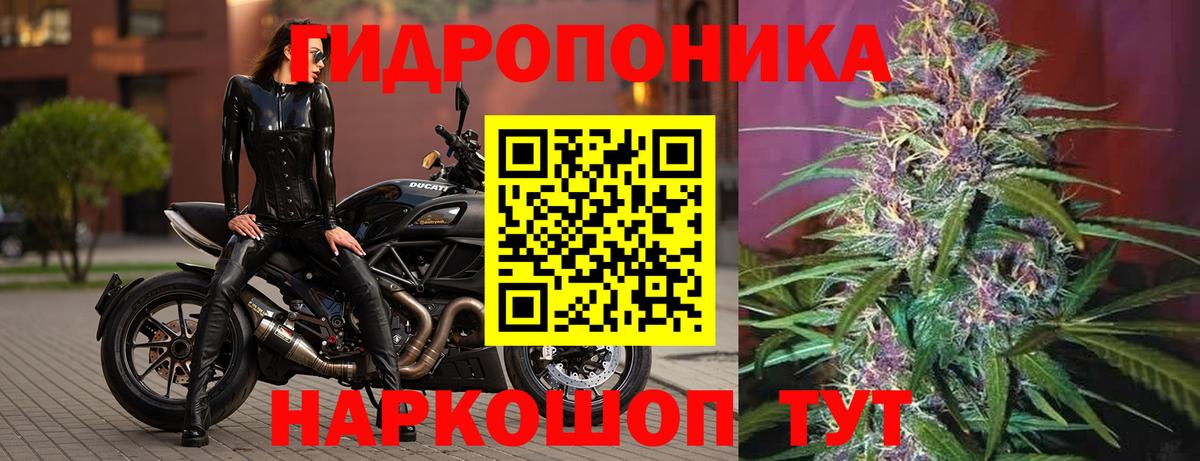 Конопля LSD WEED Екатеринбург
